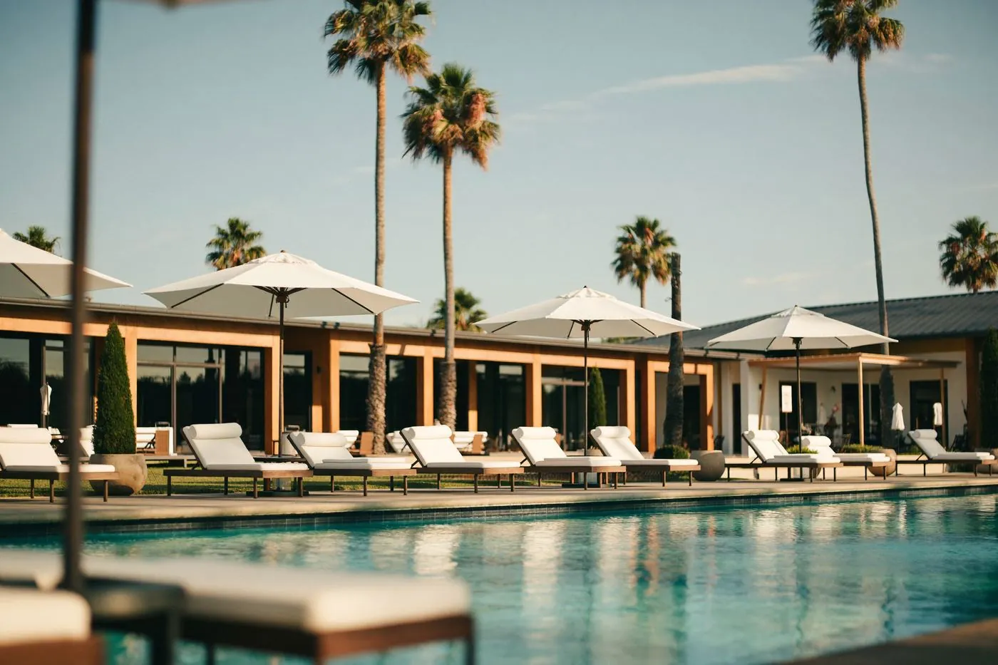 Illustrative: a resort-style community pool deck with loungers and palm trees in morning light